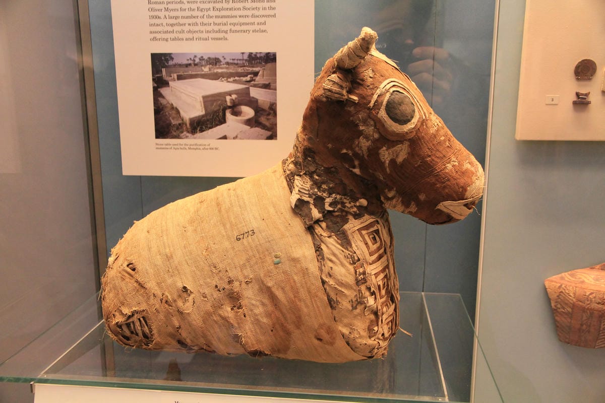 IMG_4474.JPG IMG_4474.JPG