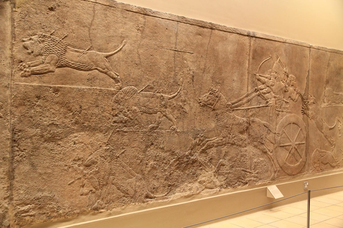 IMG_4391.JPG IMG_4391.JPG