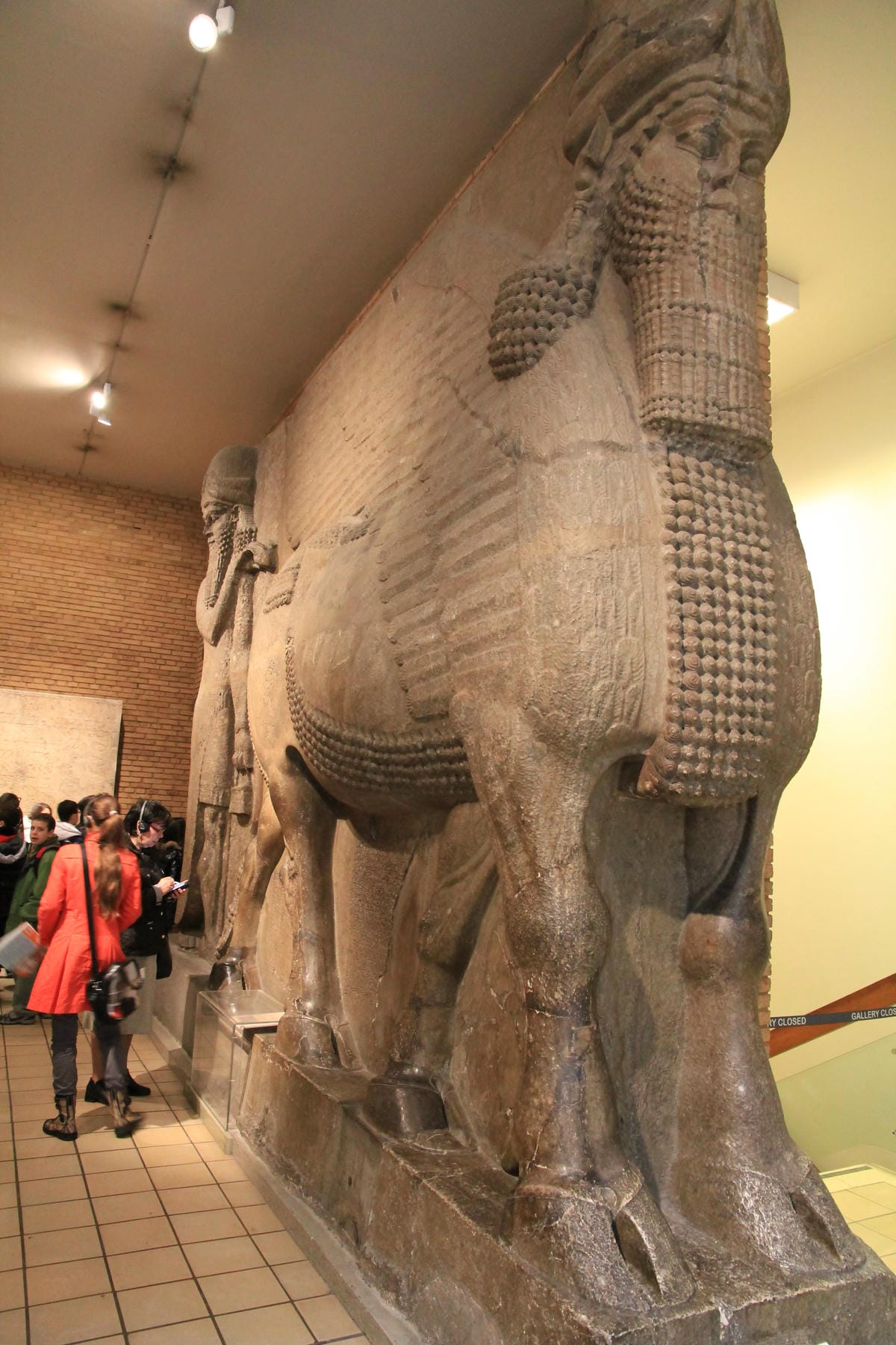 IMG_4395.JPG IMG_4395.JPG