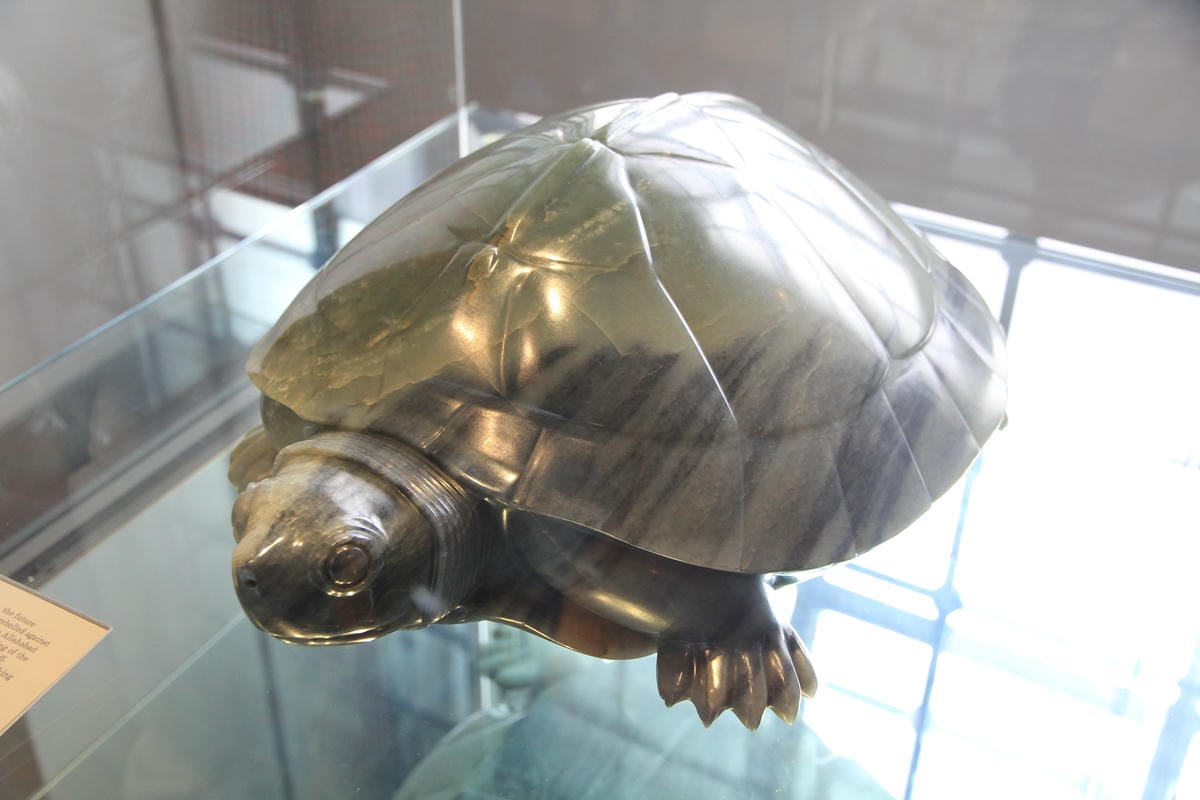 IMG_4423.JPG IMG_4423.JPG