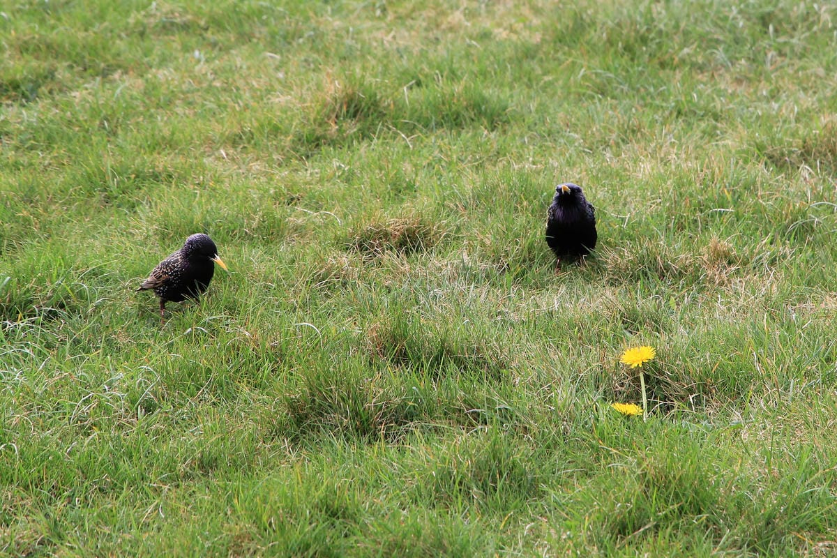 IMG_5030.JPG IMG_5030.JPG