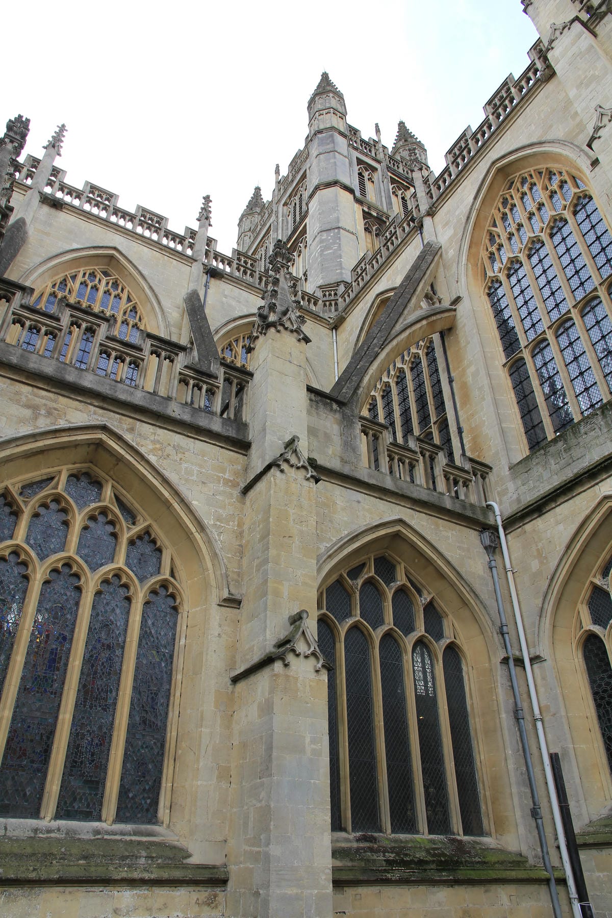 IMG_5051.JPG IMG_5051.JPG