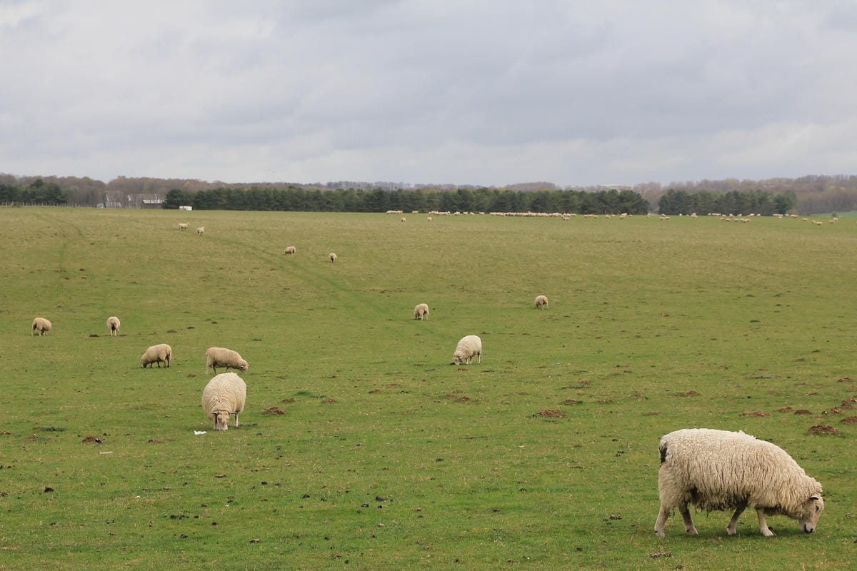 IMG_5047.JPG IMG_5047.JPG