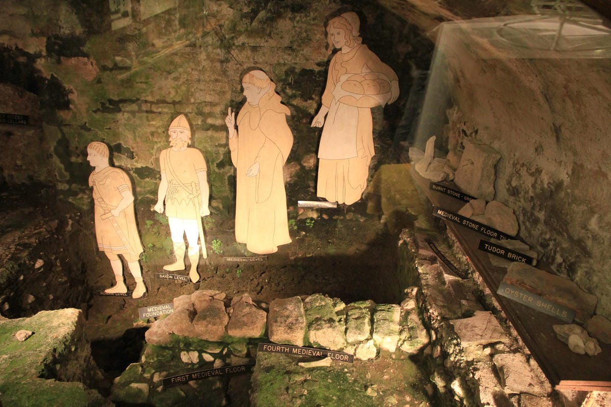 IMG_5101.JPG IMG_5101.JPG