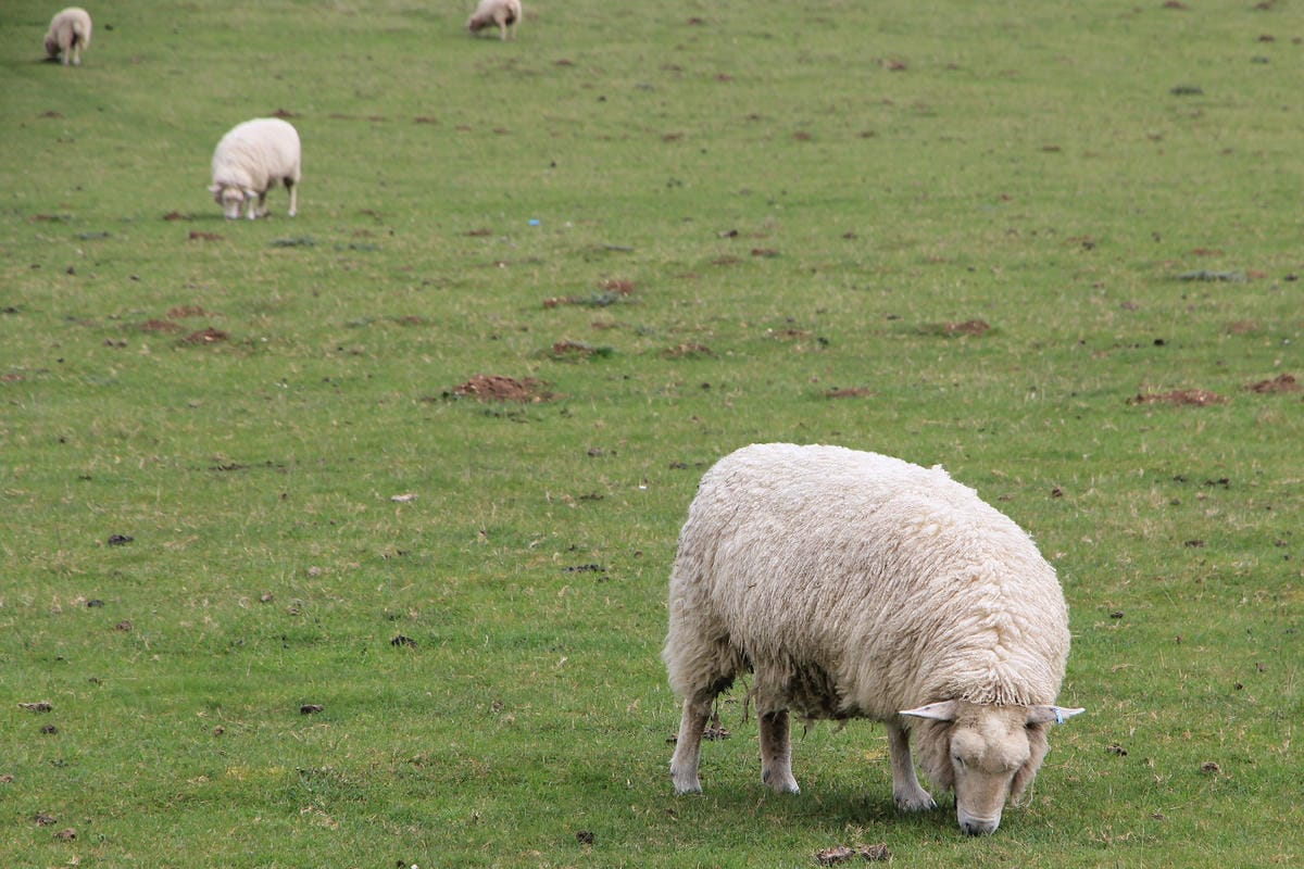 IMG_5046.JPG IMG_5046.JPG