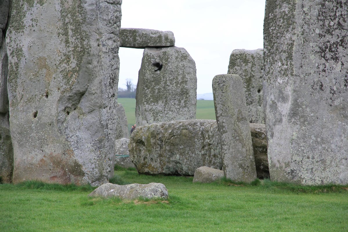 IMG_5011.JPG IMG_5011.JPG