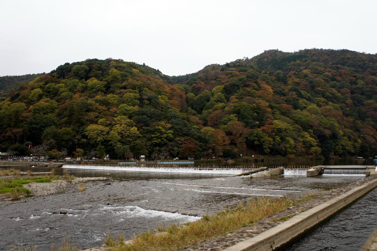 DSC06089.JPG DSC06089.JPG