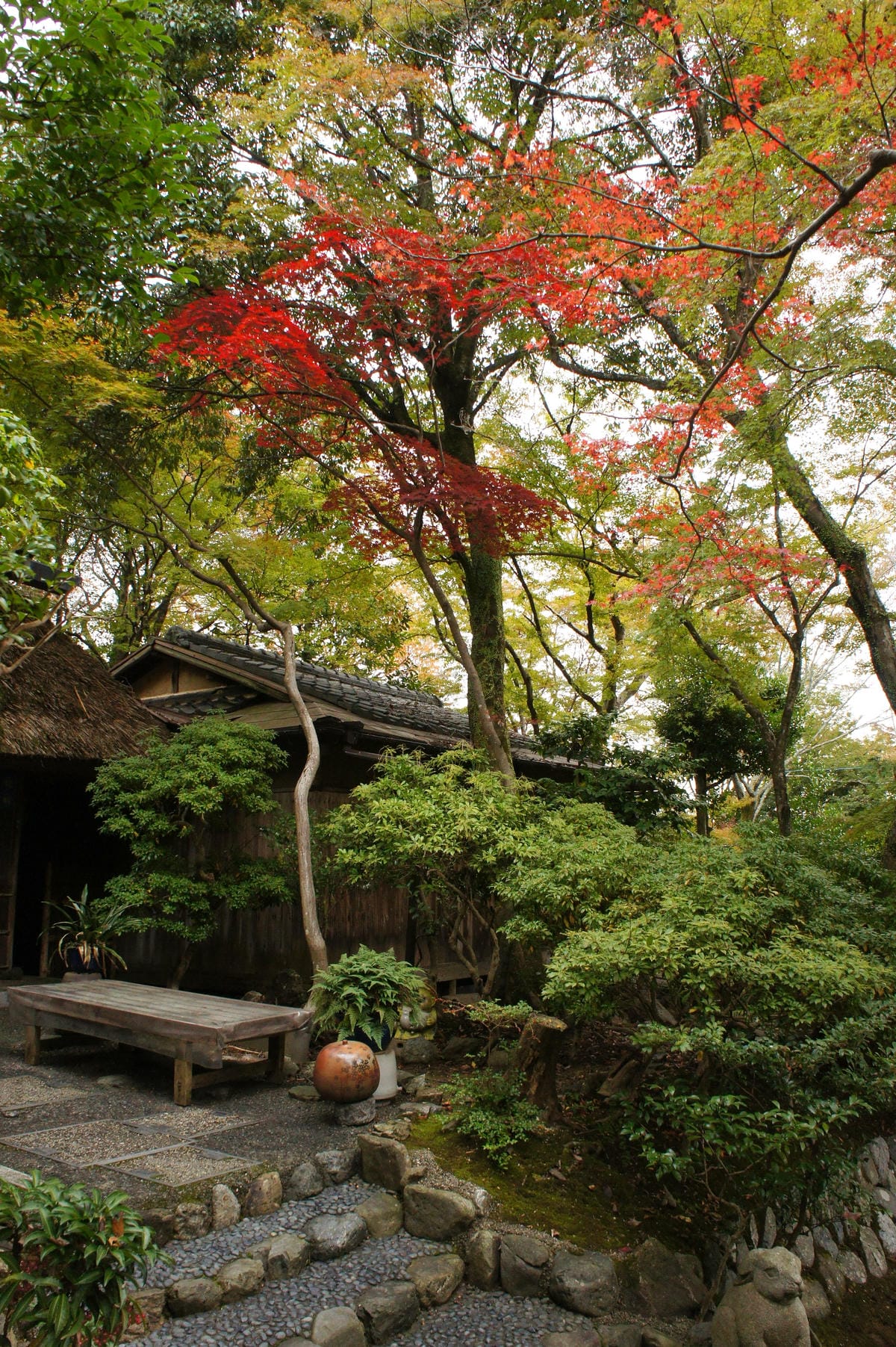 DSC06427.JPG DSC06427.JPG