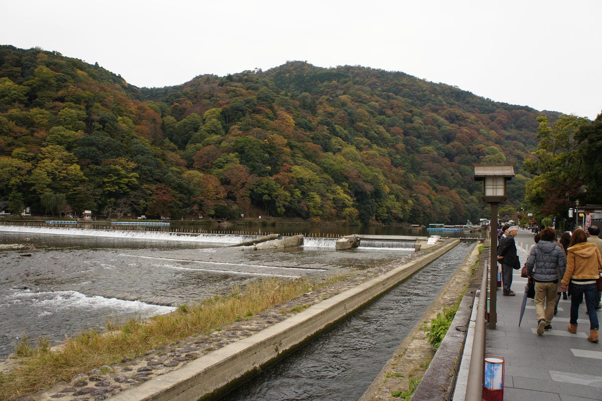 DSC06088.JPG DSC06088.JPG