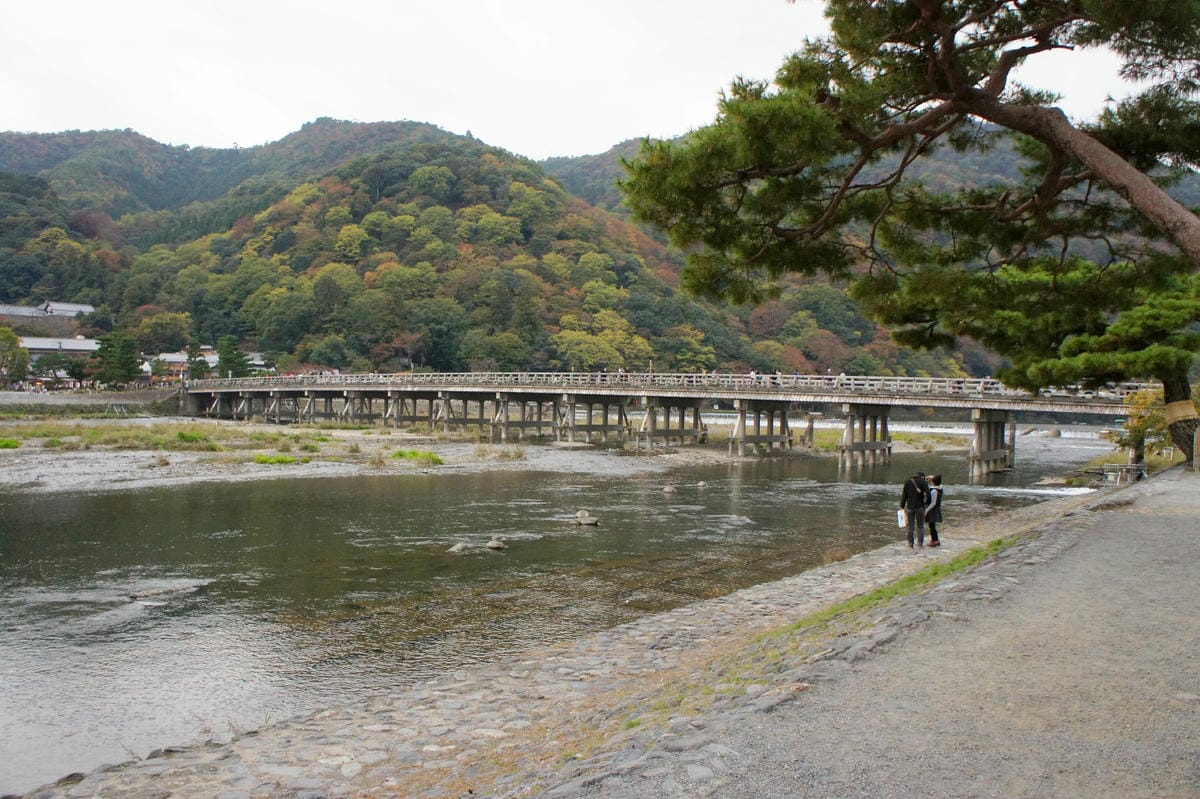 DSC06406.JPG DSC06406.JPG