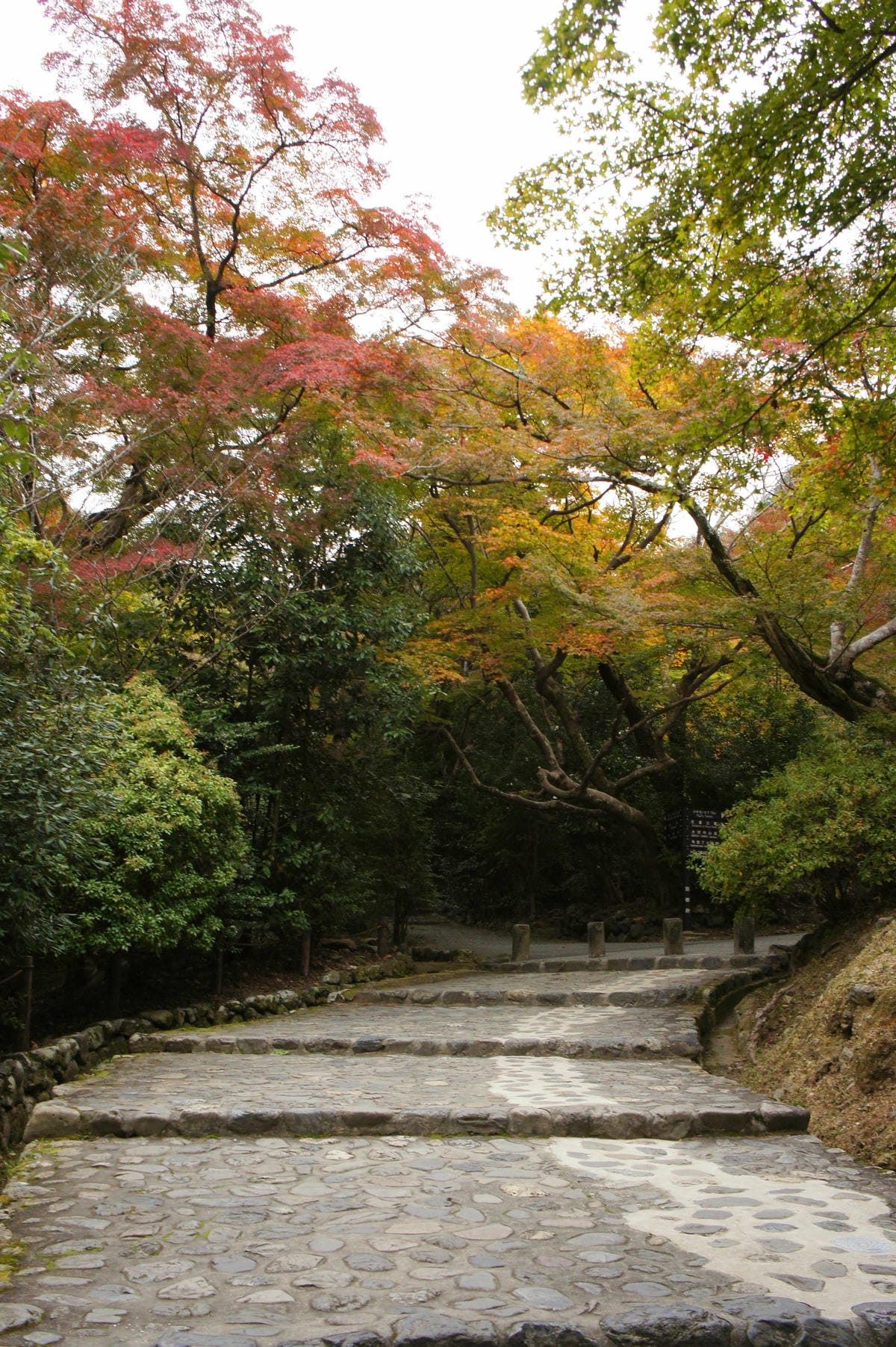 DSC06423.JPG DSC06423.JPG