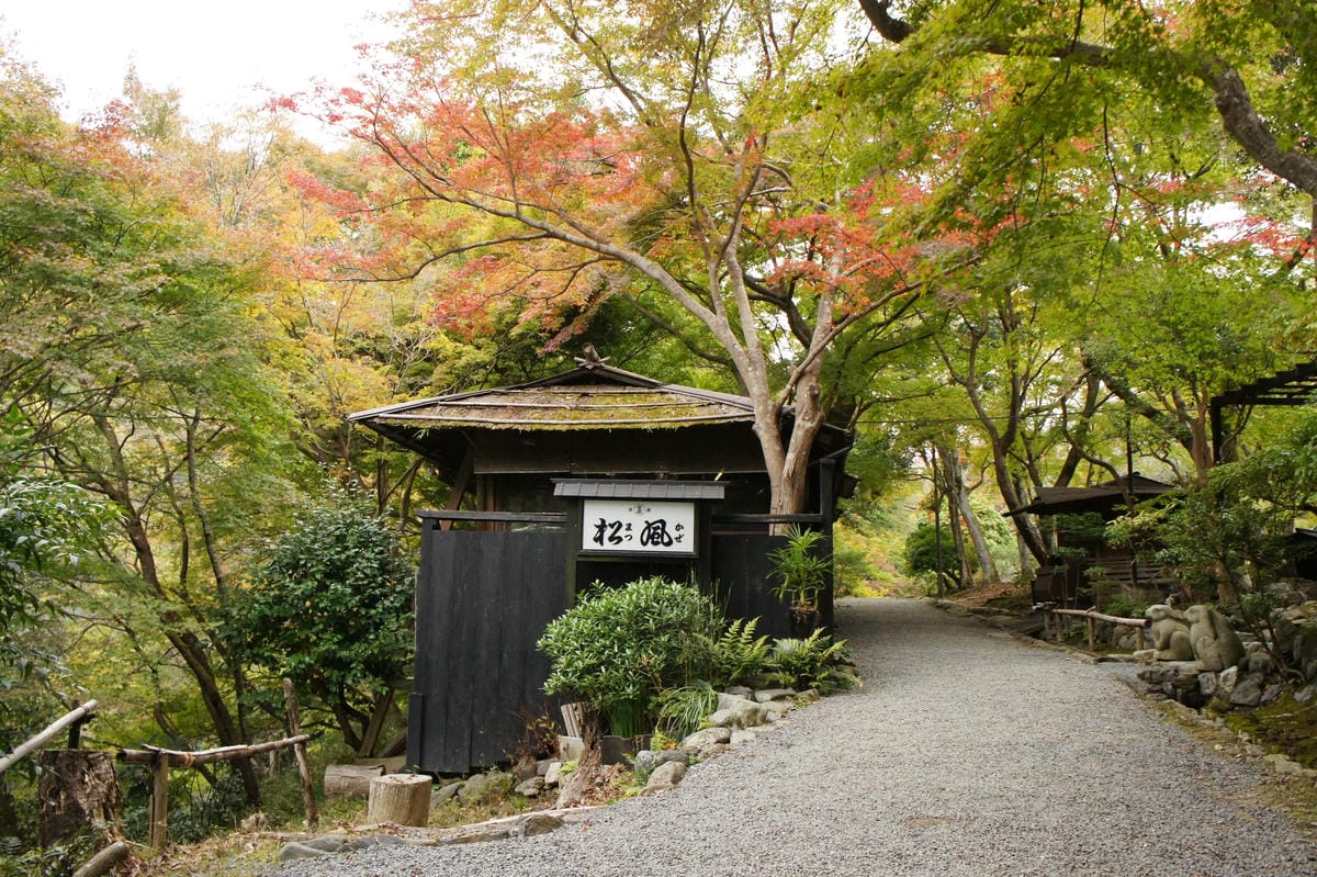 DSC06426.JPG DSC06426.JPG