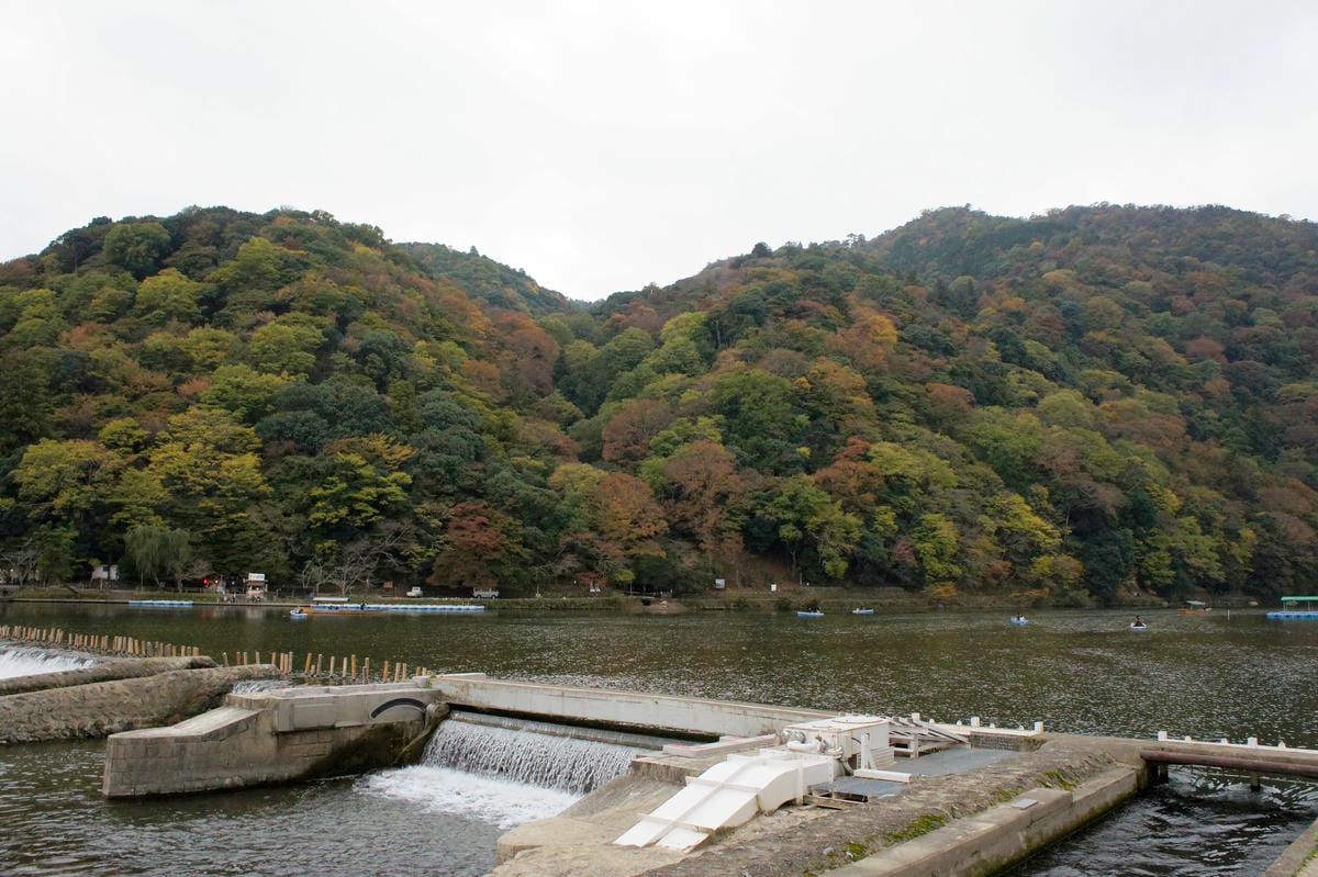 DSC06410.JPG DSC06410.JPG