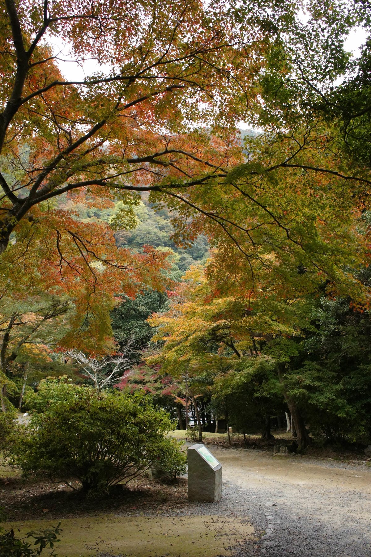 DSC06442.JPG DSC06442.JPG