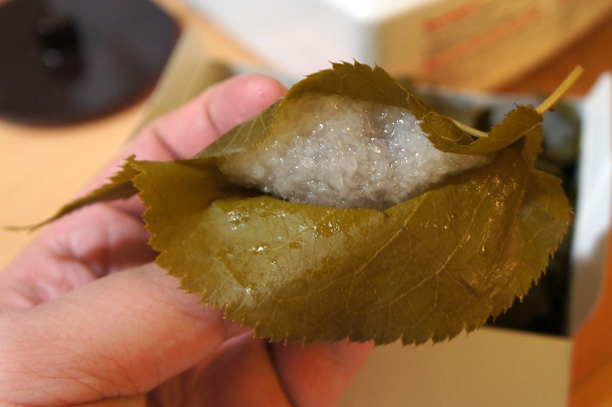 DSC06509.JPG DSC06509.JPG