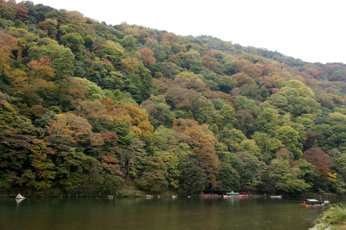 DSC06419.JPG DSC06419.JPG