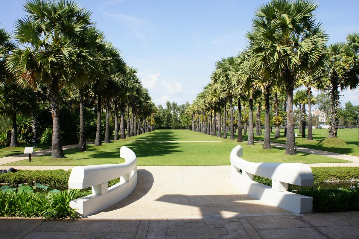 DSC08252.JPG DSC08252.JPG