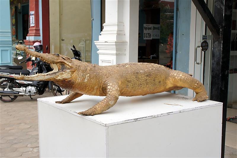 DSC09752.JPG DSC09752.JPG