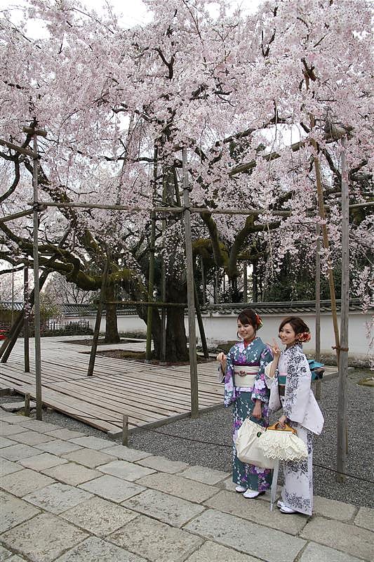 IMG_2062 拷貝.JPG IMG_2062 拷貝.JPG