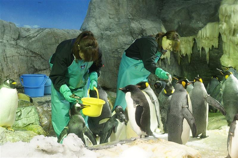 DSC00459 拷貝.JPG DSC00459 拷貝.JPG