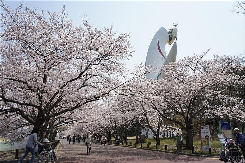 DSC01252 拷貝.JPG DSC01252 拷貝.JPG