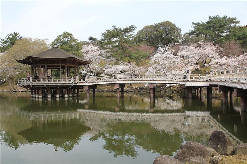 IMG_2223 拷貝.JPG IMG_2223 拷貝.JPG