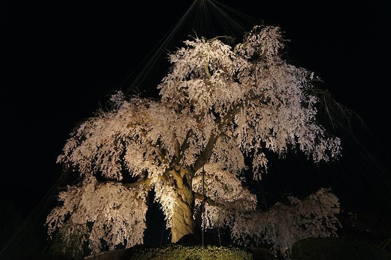 DSC02752 拷貝.JPG DSC02752 拷貝.JPG