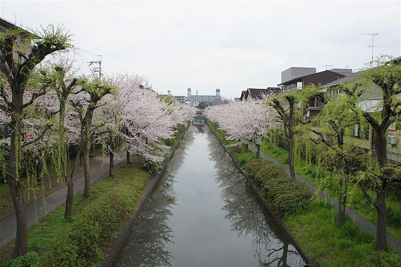 DSC02040 拷貝.JPG DSC02040 拷貝.JPG