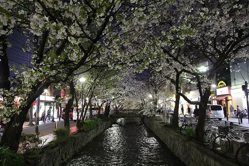 DSC00297.JPG DSC00297.JPG