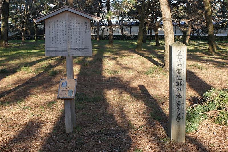 DSC00227.JPG DSC00227.JPG