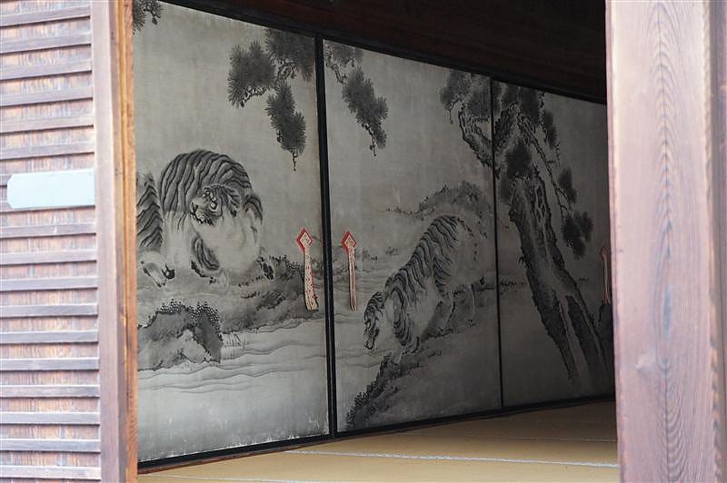 DSC00164.JPG DSC00164.JPG