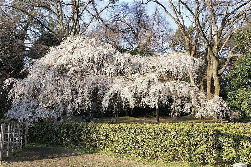 DSC00237.JPG DSC00237.JPG