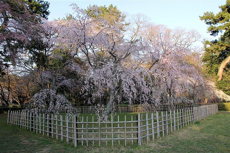 DSC00264.JPG DSC00264.JPG