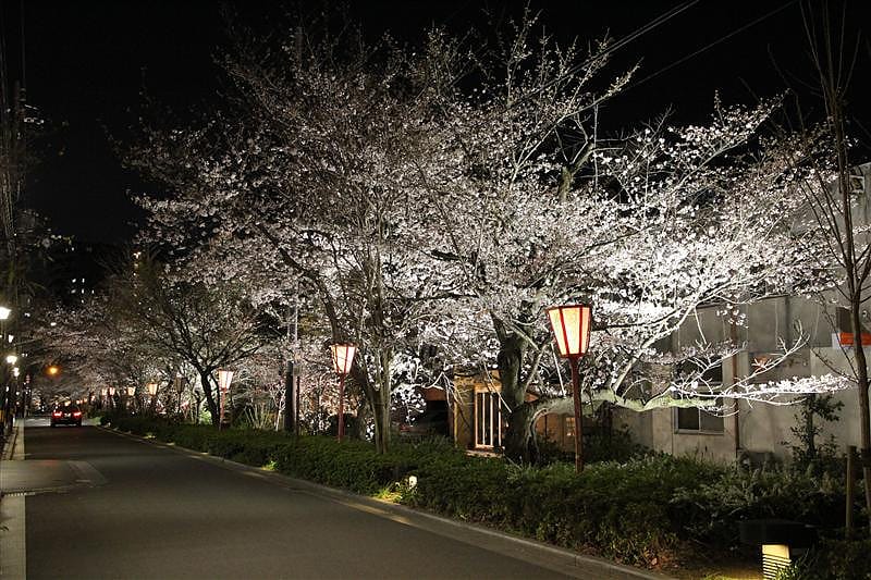 DSC00357.JPG DSC00357.JPG