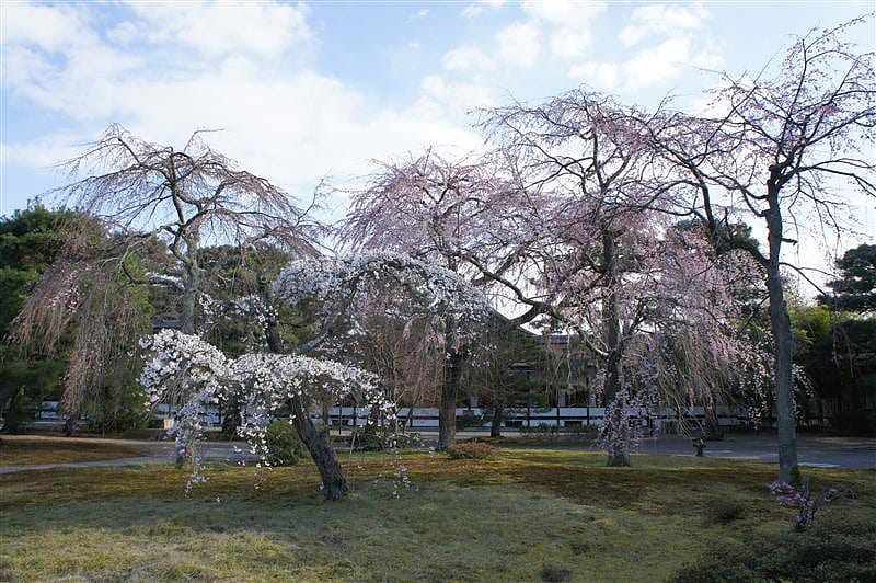 DSC00207.JPG DSC00207.JPG