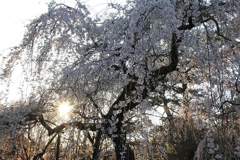 DSC00256.JPG DSC00256.JPG