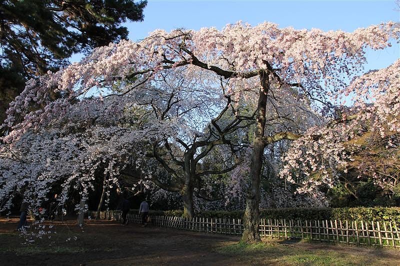 DSC00248.JPG DSC00248.JPG