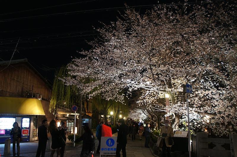 DSC00334.JPG DSC00334.JPG