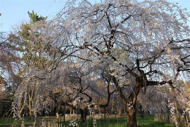 DSC00262.JPG DSC00262.JPG