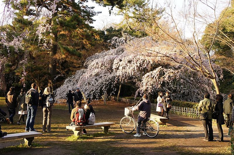 DSC00260.JPG DSC00260.JPG