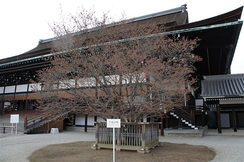 DSC00172.JPG DSC00172.JPG