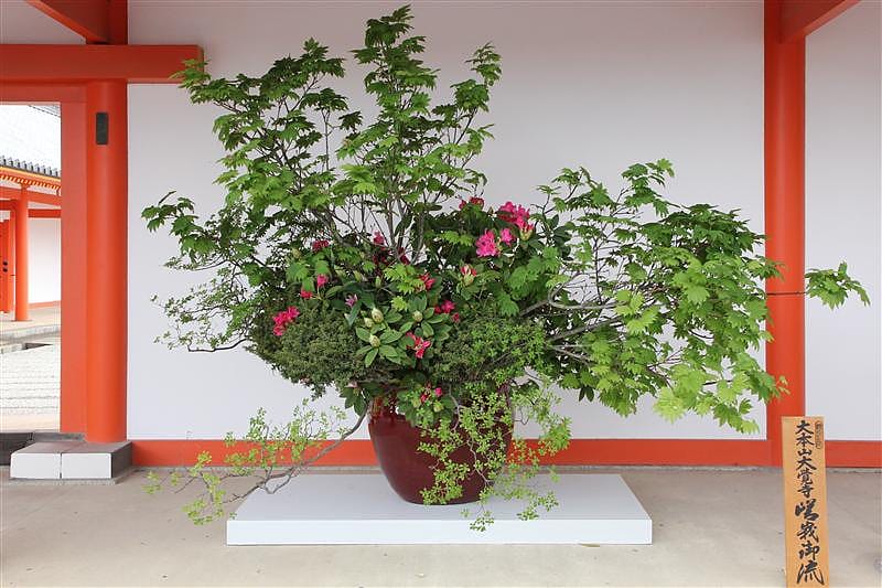 DSC00168.JPG DSC00168.JPG