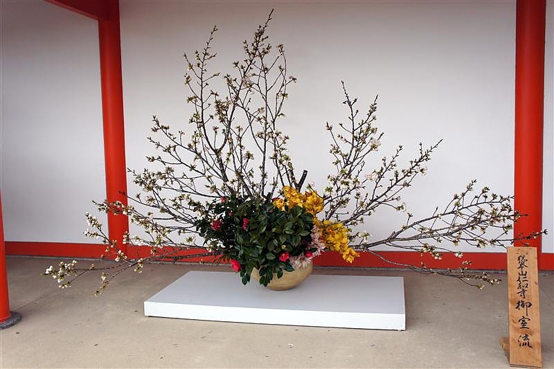 DSC00169.JPG DSC00169.JPG