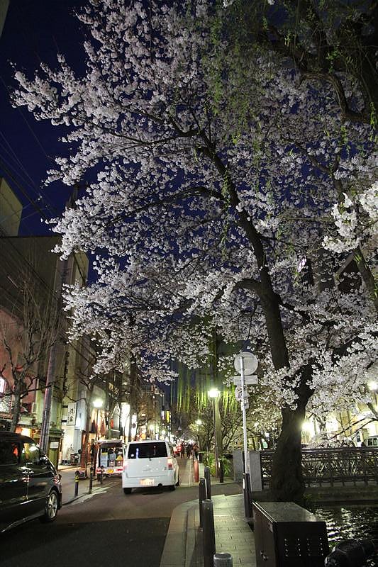 DSC00300.JPG DSC00300.JPG