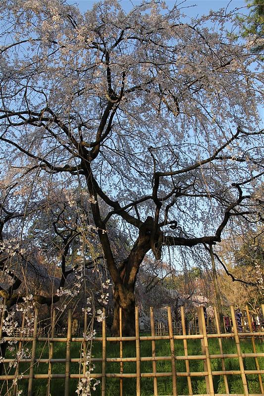 DSC00261.JPG DSC00261.JPG