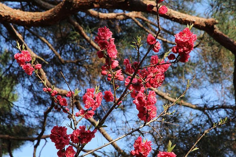 DSC00222.JPG DSC00222.JPG