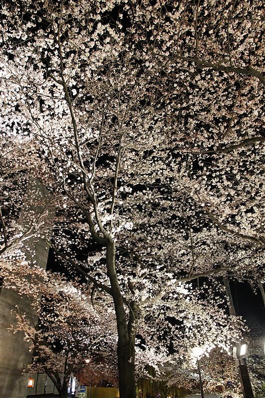 DSC00333.JPG DSC00333.JPG