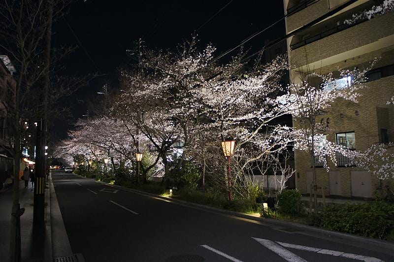 DSC00363.JPG DSC00363.JPG