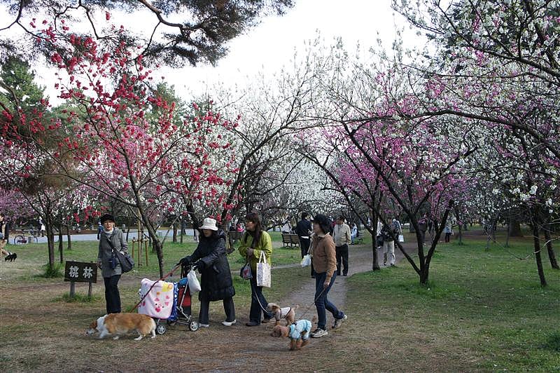 DSC00218.JPG DSC00218.JPG