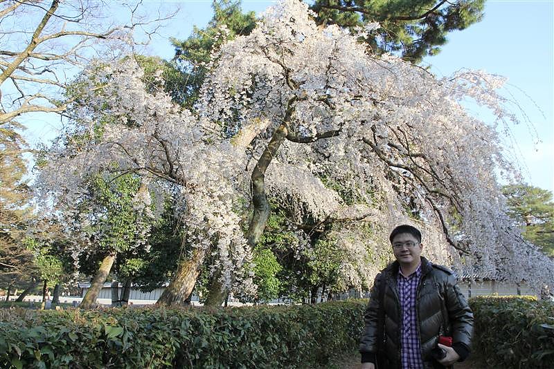 DSC00246.JPG DSC00246.JPG